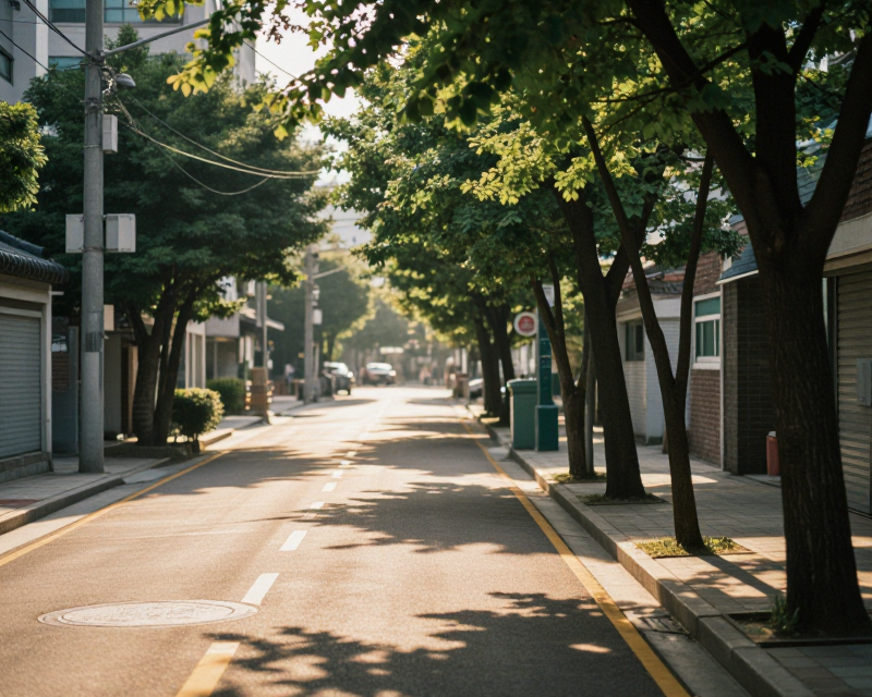 Summer Heat in Korea